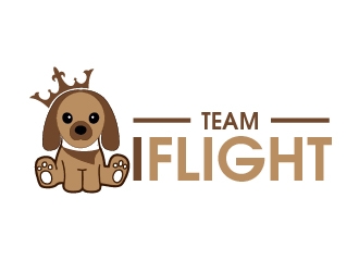 Team IFLIGHT logo design by shravya