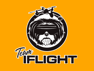 Team IFLIGHT logo design by Cekot_Art