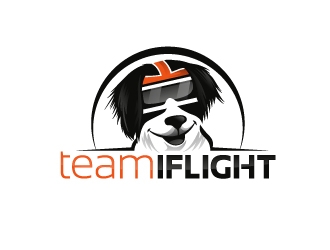 Team IFLIGHT logo design by fantastic4