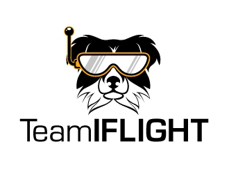Team IFLIGHT logo design by fantastic4