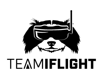 Team IFLIGHT logo design by jaize