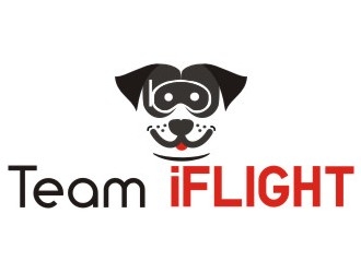 Team IFLIGHT logo design by rizuki