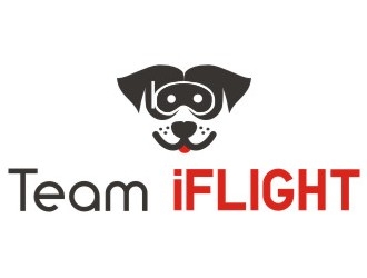 Team IFLIGHT logo design by rizuki