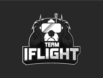 Team IFLIGHT logo design by UNIEX