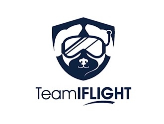 Team IFLIGHT logo design by gogo