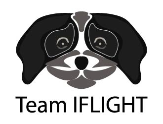 Team IFLIGHT logo design by bulatITA