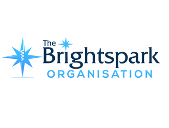The Brightspark Organisation logo design by megalogos