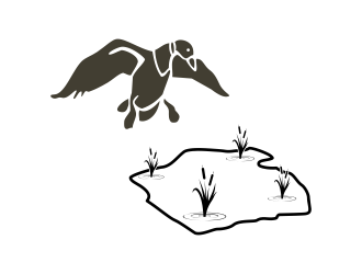 Duck Pond logo design by savana