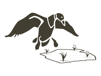 Duck Pond logo design by savana