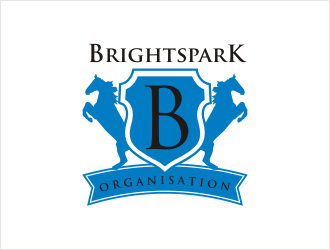 The Brightspark Organisation logo design by bunda_shaquilla