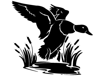 Duck Pond logo design by scriotx