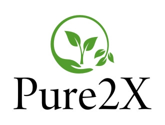 Pure2X logo design by jetzu