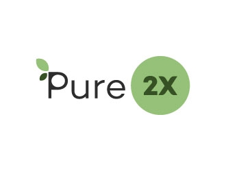 Pure2X logo design by N1one