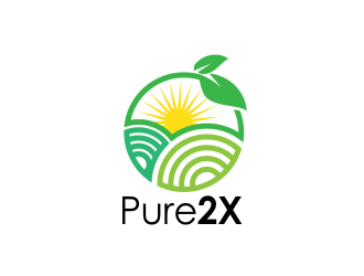 Pure2X logo design by ROSHTEIN