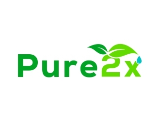 Pure2X logo design by Webphixo
