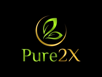 Pure2X logo design by excelentlogo