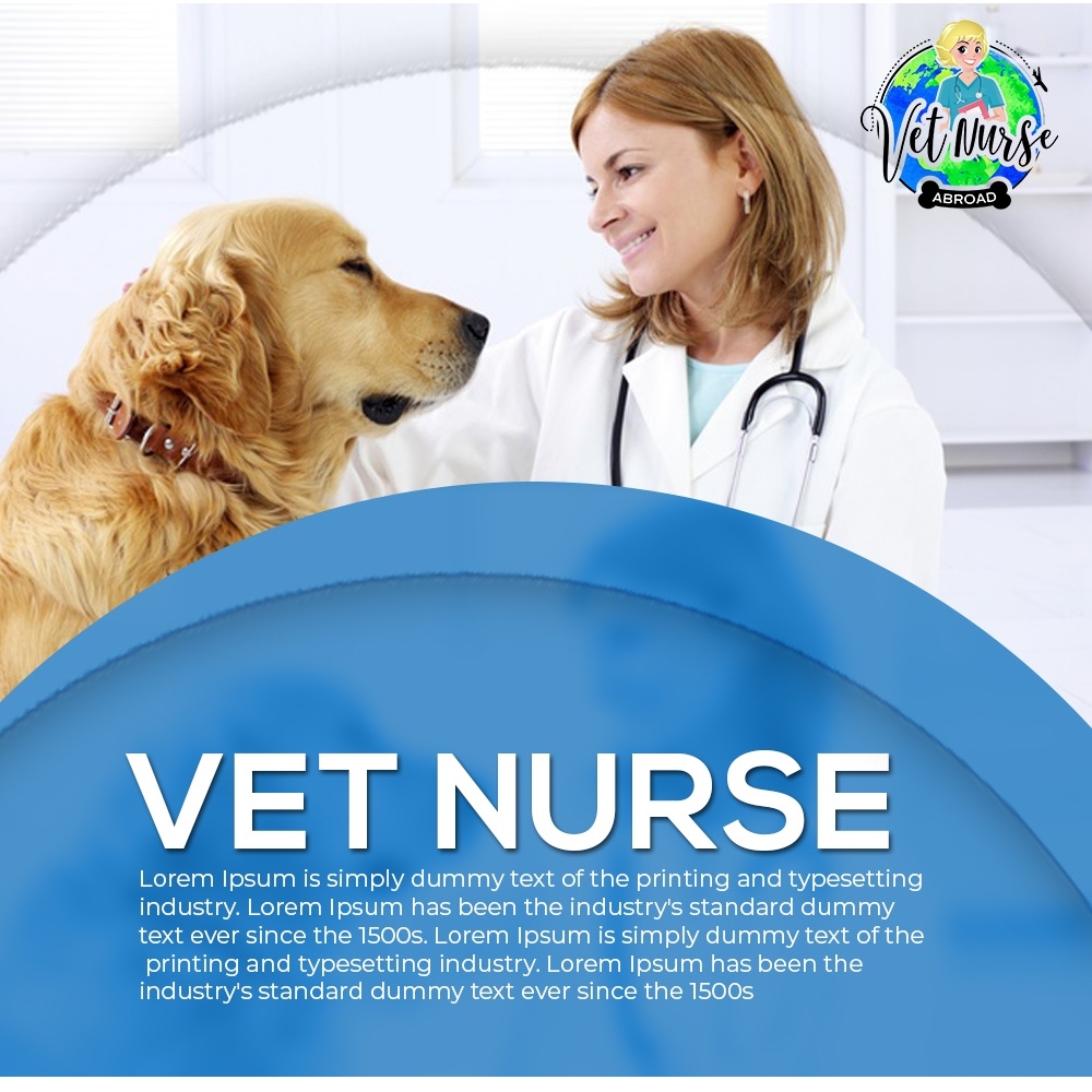 Vet Nurse Abroad logo design by fawadyk