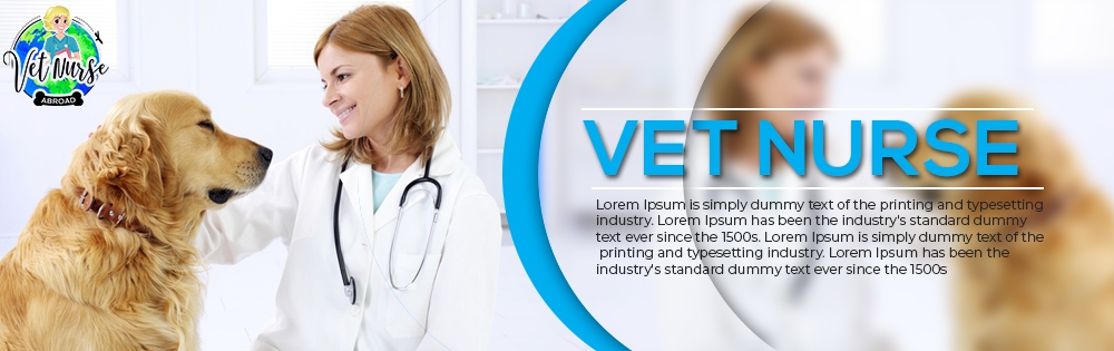 Vet Nurse Abroad logo design by fawadyk