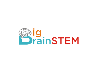 Big BrainSTEM logo design by Diancox