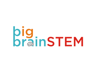 Big BrainSTEM logo design by Diancox