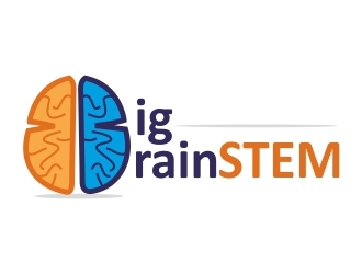 Big BrainSTEM logo design by ruki