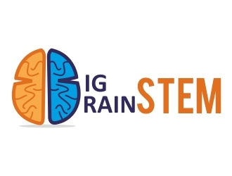 Big BrainSTEM logo design by ruki