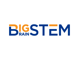 Big BrainSTEM logo design by denfransko