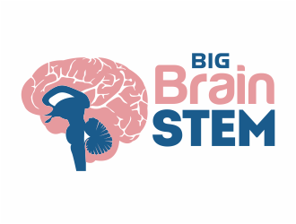 Big BrainSTEM logo design by mutafailan