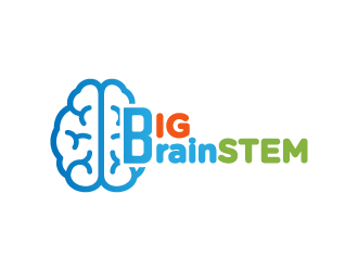 Big BrainSTEM logo design by pencilhand