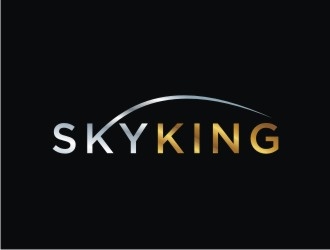 SKYKING  logo design by bricton