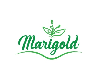Marigold logo design by fritsB