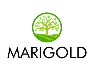 Marigold logo design by jetzu