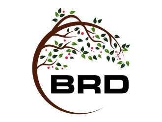BRD logo design by jetzu