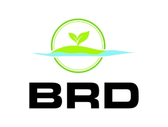 BRD logo design by jetzu