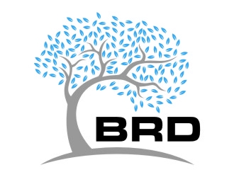 BRD logo design by jetzu