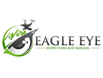Eagle Eye Inspections and Imaging  logo design by dorijo