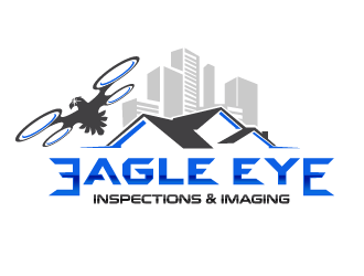 Eagle Eye Inspections and Imaging  logo design by firstmove