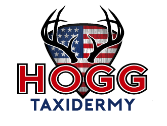 Hogg Taxidermy logo design by axel182