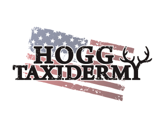 Hogg Taxidermy logo design by YONK