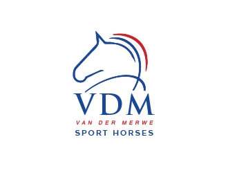 VDM (van der Merwe) *van der is not capitalized* logo design by Rachel