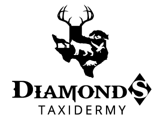 Diamond S Taxidermy  logo design by axel182