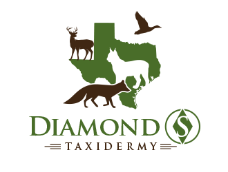 Diamond S Taxidermy  logo design by BeDesign