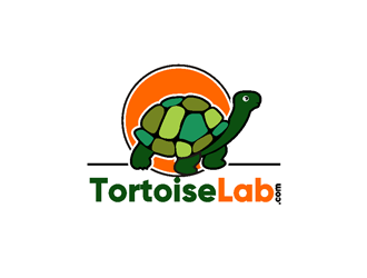 TortoiseLab logo design by coco