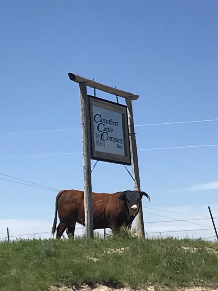 Carruthers Capital Logo Design 48hourslogo