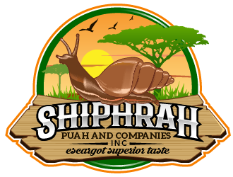 Shiphrah Puah and Companies Inc logo design by THOR_