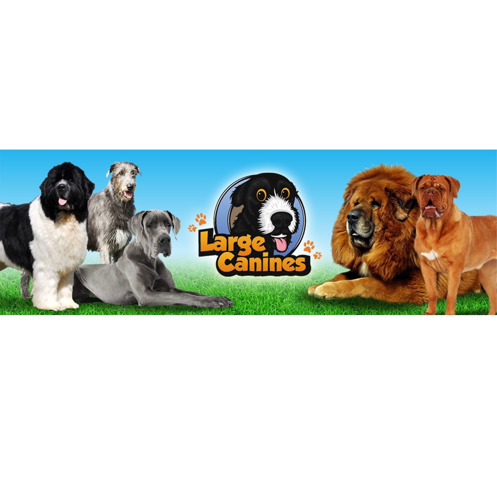 Large Canines Logo Design