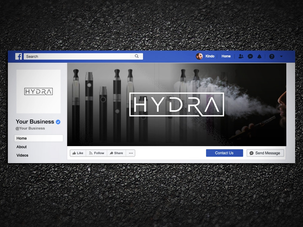 Hydra logo design by Kindo