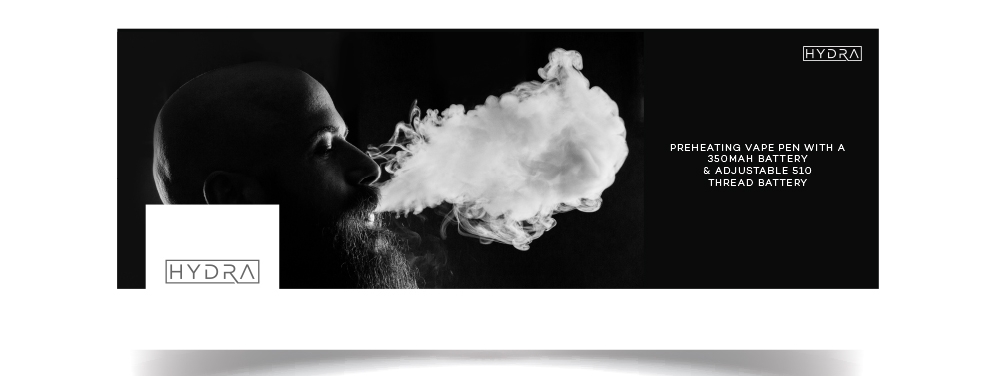 Hydra logo design by Boooool