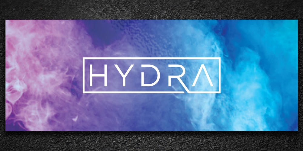 Hydra logo design by Boomstudioz