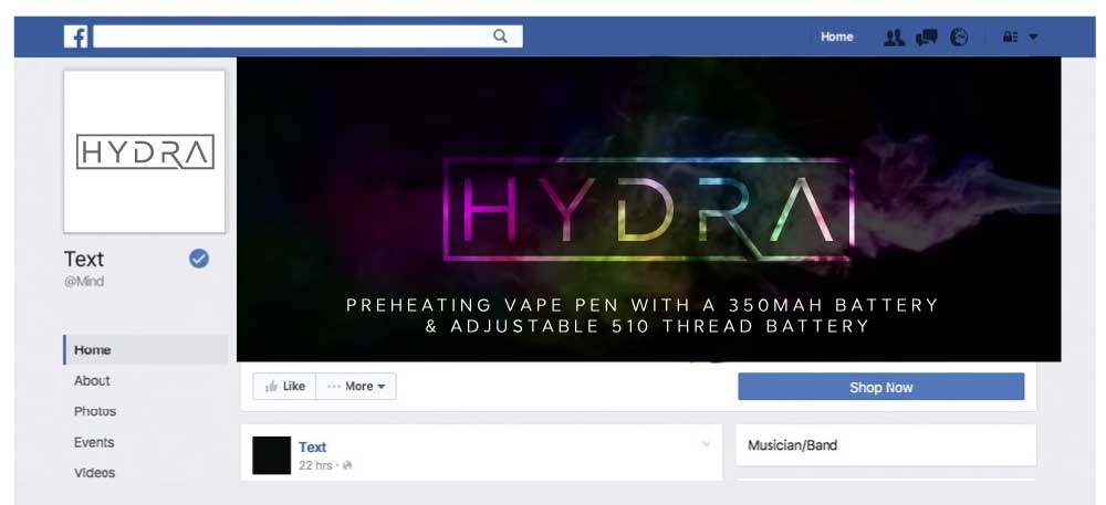 Hydra logo design by cre8vpix